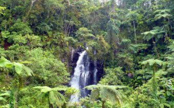 Taveuni, Fiji en estado puro