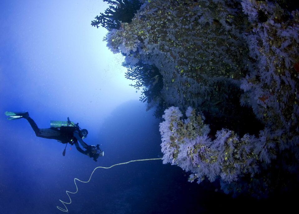 Buceo Rainbow reef (6)